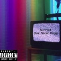 Survived (Explicit)