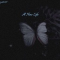 A New Life (Explicit)