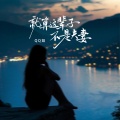 QQ姐 - 就算这辈子不是夫妻