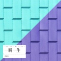 倪金茂 - 一瞬一生