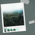 刘闯李云组合 - 星般的你