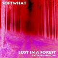 Softwhat - What You Love