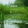 酷客音乐 - 海浪声