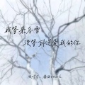 顾叮当、靡雨truth - 我等来冬雪没等到说爱我的你