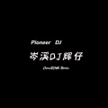 痴心换情深 (岑溪DJ辉仔 remix)