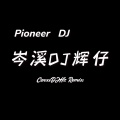 你看到的我 (岑溪DJ辉仔 remix)