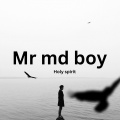 Mr Md boy、Every Avenue、Moveek - Holy spirit (feat. Every Avenue & Moveek)(Explicit)