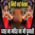 Music Lover - tu nigi gai bewafa pyar na mandir na mi pujari