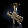 The Fresh Jazz Quartet、Stress Free Jazz、The Flax - Spotlight Sounds Trio