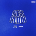 2025 Flow (Explicit)