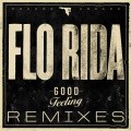 Flo Rida、David Guetta - Club Can't Handle Me