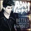 Adam Lambert - Better Than I Know Myself (Alex Ghenea Remix)