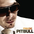Pitbull - Pause