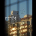 白一莎 - 匆匆那年