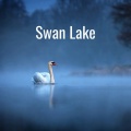 Richard Bonynge、National Philharmonic Orchestra - Tchaikovsky: Tchaikovsky: Swan Lake, Op.20, TH.12 / Act 1: No.5c Pas de deux: Valse