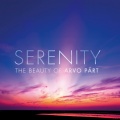 gil shaham、Adele Anthony、Neeme Järvi、gothenburg symphony orchestra、Erik Risberg - Senza moto
