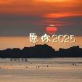 愿你2025