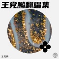 王党鹏 - 不要迷茫 不要慌张 (太阳下山有月光)