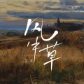 艾北 - 风中草