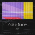 Kang - 心跳为你而停