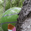 Loop Wae - Binocular