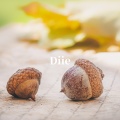 Diie - Diie