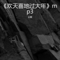 王辉 - 《欢天喜地过大年》mp3
