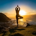 Healing Hertz、Yoga Workout Music in Mind、Namaste Yoga Group - Posed Musical Layers