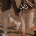 323