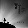 刘家奇阿 - 野狗