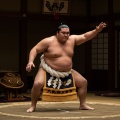 Shungyo (Acoustic)