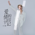 王娜 - 爱情的印记