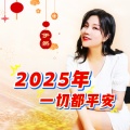 2025 年一切都平安