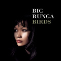 Bic Runga - If I Had You