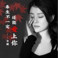 龙翼 - 来生不一定还能爱上你