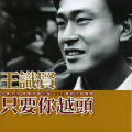 王识贤 - 失落的脚踏车