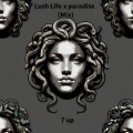 Lush Life x paradise (Mix)