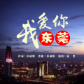 蒋婴 - 我爱你东莞