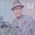 南珍 - 안개 낀 장충단공원