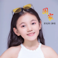 曾宪梓 - 国家