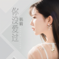 韩晴 - 你没爱过