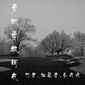 独琴者、谷雨雨、竹君 - 爱丫爱丫 (DJ版)
