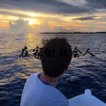DJ小星星 - 在家躺着就是社会人