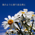 初音ミク - 君を抱きしめてしまった