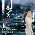 王维红 - 冬雨夜