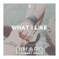 What I Like (Radio Edit)