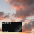 哑巴歌手 - 故事细腻