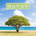 大自然 - 白噪音