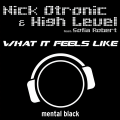 high level、Nick Otronic、Sofia Robert - What It Feels Like