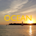 M2 - OCEAN